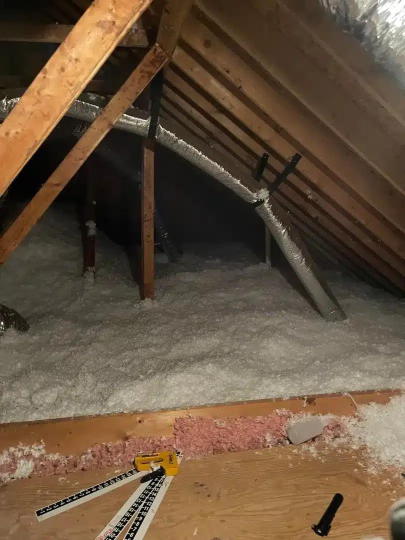 insulation removal services